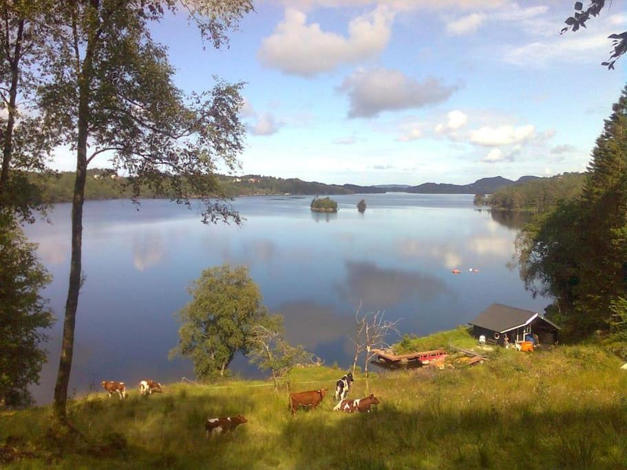 Topfloor Apartment Separate Entranc Nice View Stord Fitjar Esterno foto